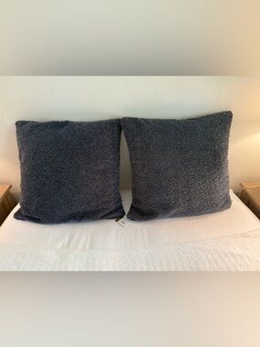 Pottery Barn Teddy Faux Fur Pillow covers